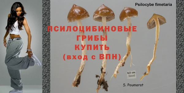 ECSTASY Майский