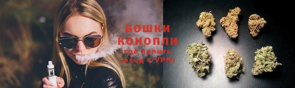 амф Магас