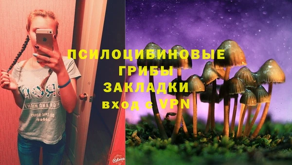 ECSTASY Майский