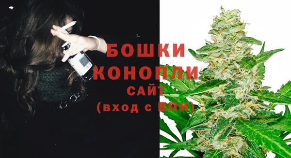 ECSTASY Майский