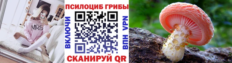 купить наркотик  Шумиха  МЕГА ссылка  Псилоцибиновые грибы Magic Shrooms 